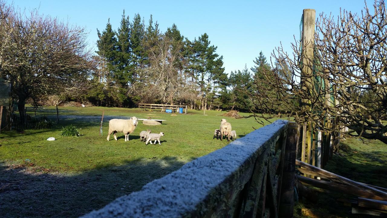 Takanini Woodbury Farm B&B 외부 사진